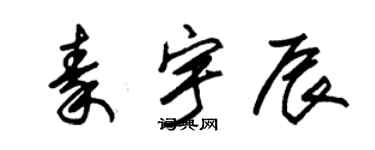 朱錫榮秦宇辰草書個性簽名怎么寫