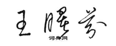 駱恆光王曙芬草書個性簽名怎么寫