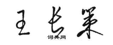 駱恆光王長策草書個性簽名怎么寫