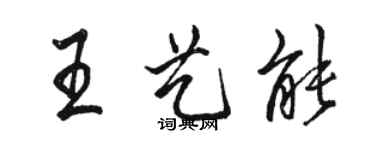 駱恆光王藝能行書個性簽名怎么寫