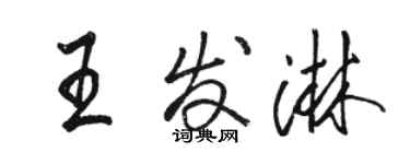駱恆光王發淋行書個性簽名怎么寫