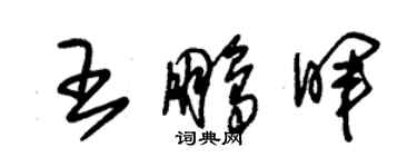 朱錫榮王鵬暉草書個性簽名怎么寫