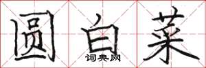 駱恆光圓白菜楷書怎么寫