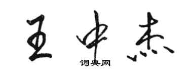 駱恆光王中傑行書個性簽名怎么寫