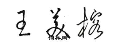 駱恆光王美榕草書個性簽名怎么寫