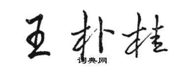 駱恆光王朴桂行書個性簽名怎么寫