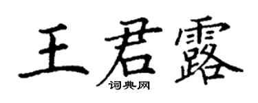 丁謙王君露楷書個性簽名怎么寫
