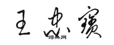 駱恆光王忠寶草書個性簽名怎么寫