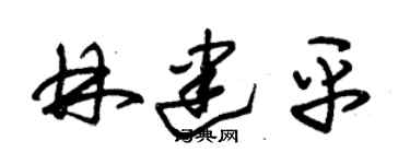 朱錫榮林建平草書個性簽名怎么寫