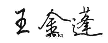 駱恆光王金蓬行書個性簽名怎么寫