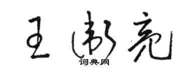 駱恆光王衛亮草書個性簽名怎么寫