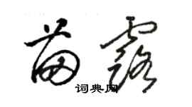 駱恆光苗露草書個性簽名怎么寫