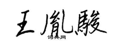 王正良王胤駿行書個性簽名怎么寫