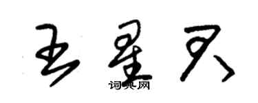 朱錫榮王星君草書個性簽名怎么寫