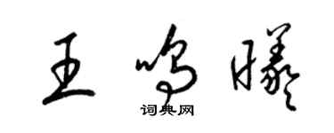 梁錦英王鳴曦草書個性簽名怎么寫