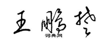 梁錦英王鵬楚草書個性簽名怎么寫