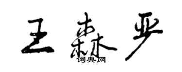 曾慶福王森嚴行書個性簽名怎么寫