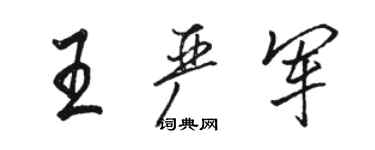 駱恆光王嚴軍行書個性簽名怎么寫