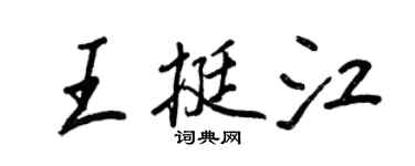 王正良王挺江行書個性簽名怎么寫