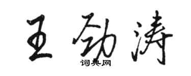 駱恆光王勁濤行書個性簽名怎么寫