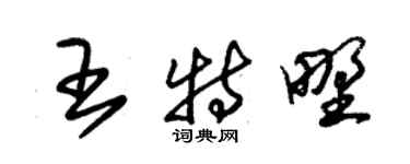 朱錫榮王特野草書個性簽名怎么寫
