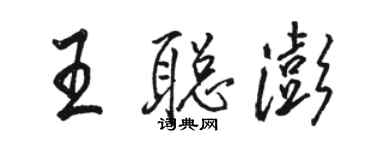 駱恆光王聰澎行書個性簽名怎么寫