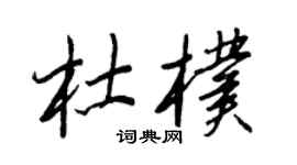 王正良杜朴行書個性簽名怎么寫