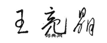 駱恆光王亮晶草書個性簽名怎么寫