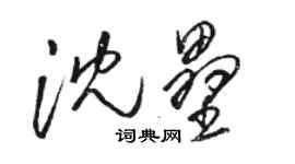 駱恆光沈壘草書個性簽名怎么寫