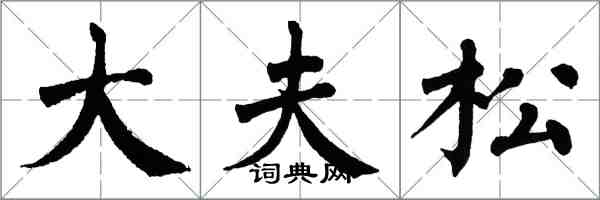 翁闓運大夫松楷書怎么寫