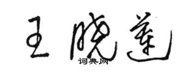 駱恆光王曉蓮草書個性簽名怎么寫