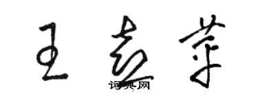 駱恆光王喜苹草書個性簽名怎么寫