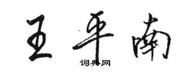 駱恆光王平南行書個性簽名怎么寫