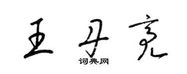 梁錦英王丹亮草書個性簽名怎么寫