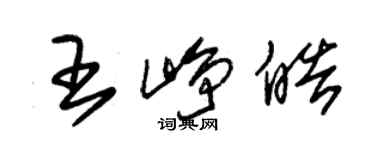 朱錫榮王崢皓草書個性簽名怎么寫