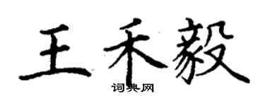 丁謙王禾毅楷書個性簽名怎么寫