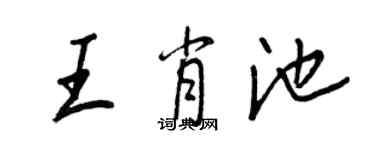 王正良王肖池行書個性簽名怎么寫