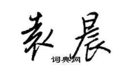 王正良袁晨行書個性簽名怎么寫
