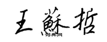 王正良王蘇哲行書個性簽名怎么寫