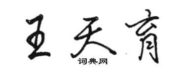 駱恆光王天育行書個性簽名怎么寫