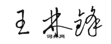 駱恆光王林鋒草書個性簽名怎么寫