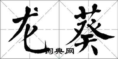 翁闓運龍葵楷書怎么寫