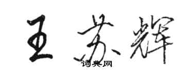 駱恆光王蘇輝行書個性簽名怎么寫