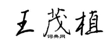 王正良王茂植行書個性簽名怎么寫