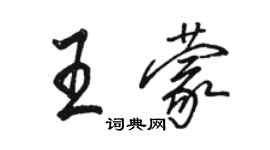 駱恆光王蒙行書個性簽名怎么寫