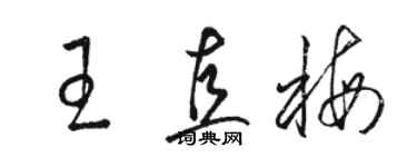 駱恆光王直梅草書個性簽名怎么寫
