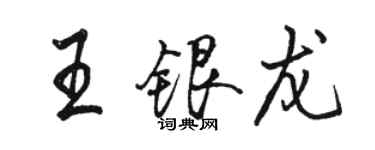 駱恆光王銀龍行書個性簽名怎么寫