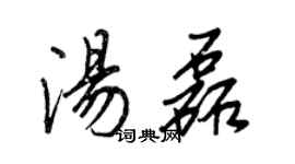 王正良湯磊行書個性簽名怎么寫