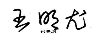 朱錫榮王明尤草書個性簽名怎么寫