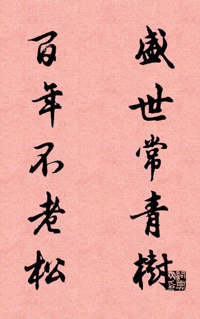 盛世常青樹 百年不老松怎么寫好看